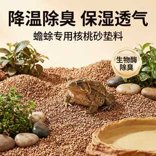蟾蜍专用核桃砂垫料夏季降温天然清香挖刨不起尘造景颗粒爬宠尿砂