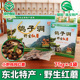 东北土特产辽宁辽西朝阳红蘑野生干货鸽子洞松伞蘑菇礼盒装 包邮