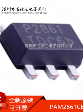 真正正品 PAM2861CBR PAM2861 P2861 SOT89-5 恒流驱动芯片 现货