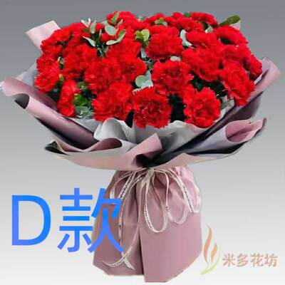 生日探望康乃馨广东汕头花店送花澄海区潮阳区南澳县同城鲜花快递