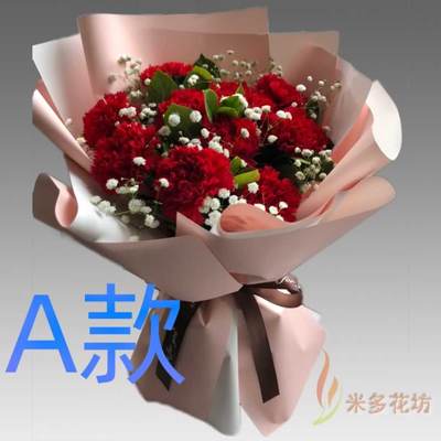 生日康乃馨吉林松原订花店送花前郭尔县长岭县乾安县同城鲜花快递