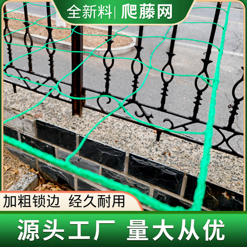 植物爬藤网全新料抗氧化可定制
