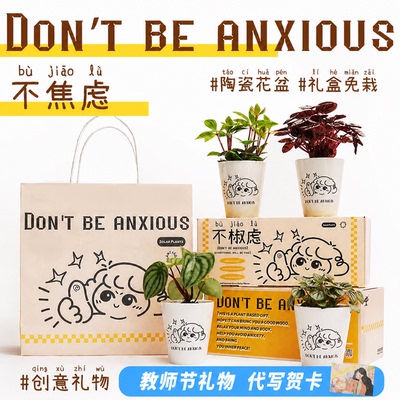 椒草桌面盆栽情绪稳定好养耐活