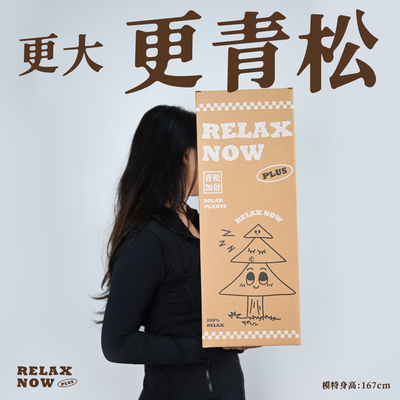 放青松绿植情绪稳定植物桌面盆栽