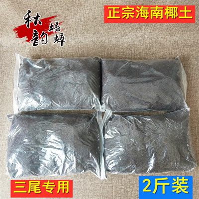 蟋蟀用具饲养母子蛐蛐三尾产卵土