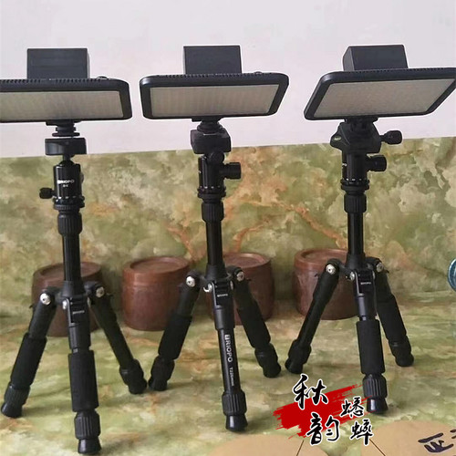蟋蟀蛐蛐拍照补光灯220V直插
