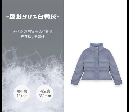 高级成衣羊毛白鸭绒羽绒服25TW4476