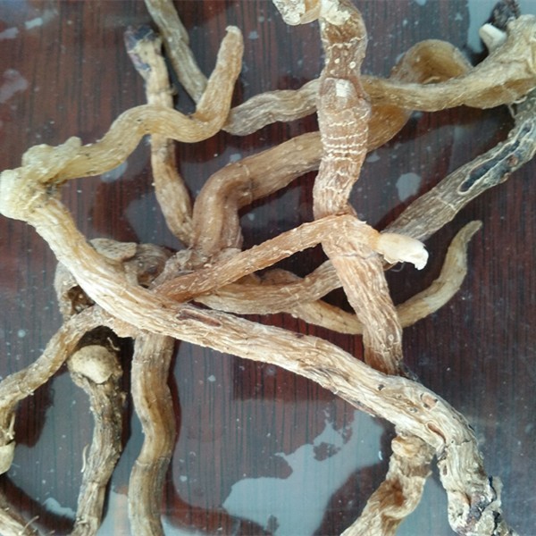 东北野生中药材玉竹 白及根 山白鸡根 玉竹500克包邮