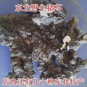 东北特产长白山野生猪苓 猪屎苓 野猪粪中药材 猪苓250克包邮