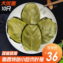 湛江廉江安铺特产红糖木叶搭叶子籺椰丝饼芝麻花生籺糍粑现做现卖