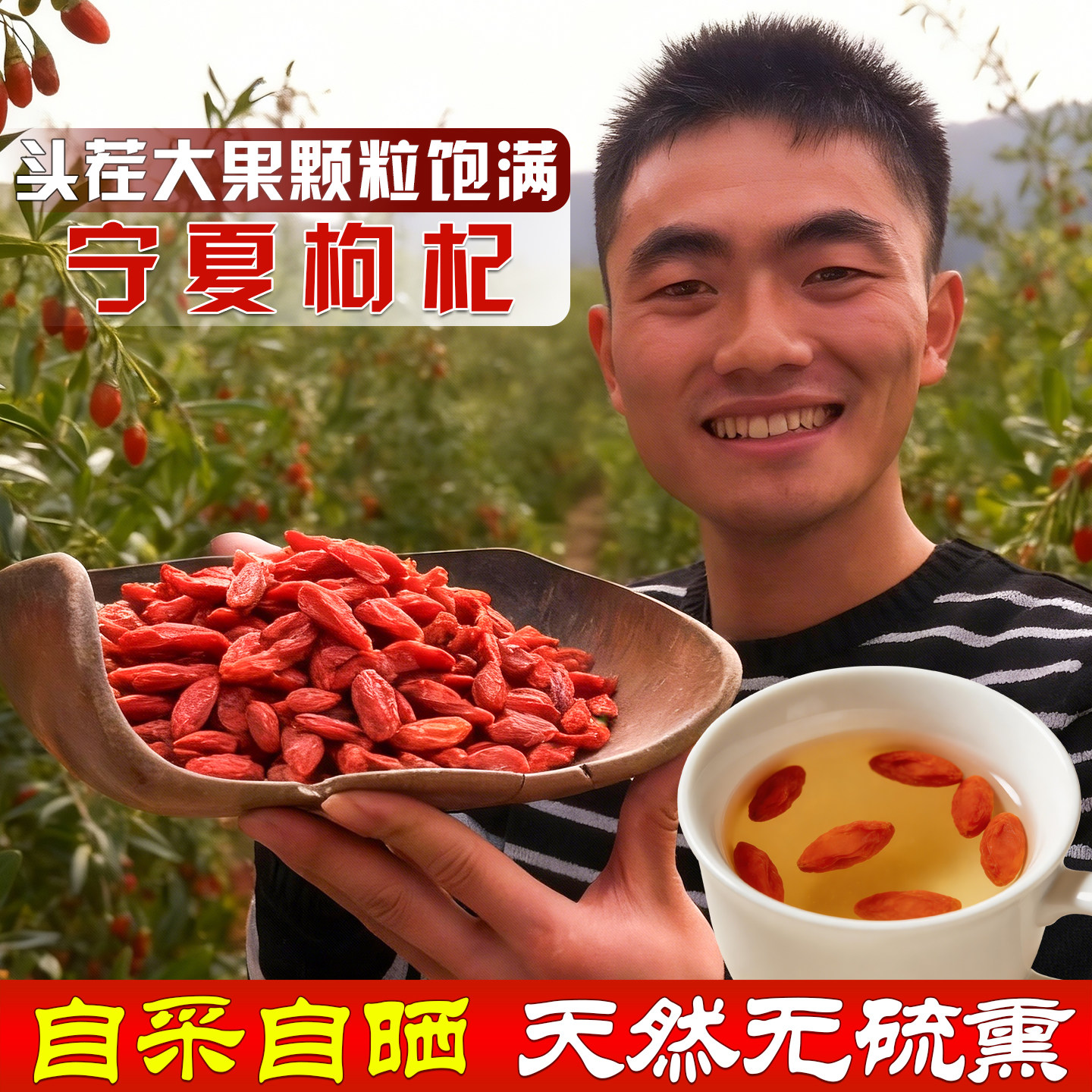 正宗头茬枸杞子中药材宁夏特优级枸杞茶养生无硫大粒枸杞果干泡茶