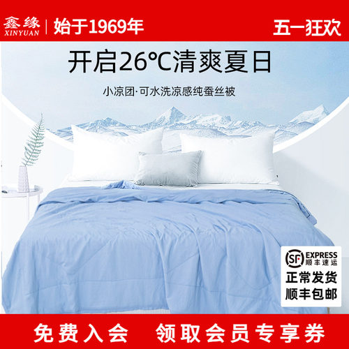 鑫缘丝绸凉感可水洗蚕丝被夏凉被子被芯夏被空调被100%蚕丝小凉团