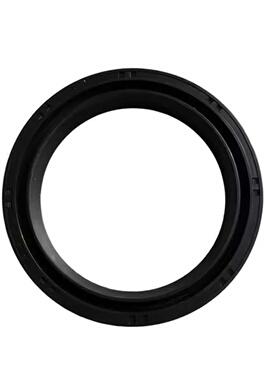 适用摩托车 阿普利亚RSV4RR DORSODURO1200 750 前叉前减震油封