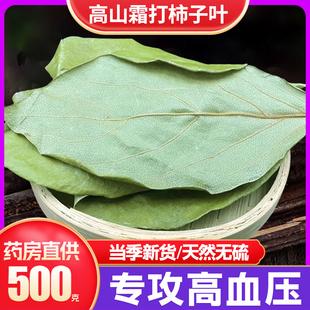 霜打过的柿子叶干中药材野生新鲜霜后柿叶粉柿子树叶茶官方旗舰店