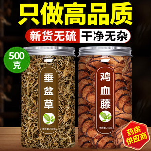 垂盆草鸡血藤中药材正品官方旗舰店野生新鲜片原材料的功效与作用