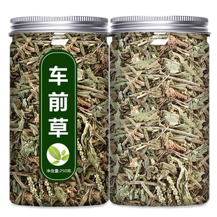 车前草干货中药饮片新鲜野生蒲公英猫爪草袋泡茶泡水的功效作用粉