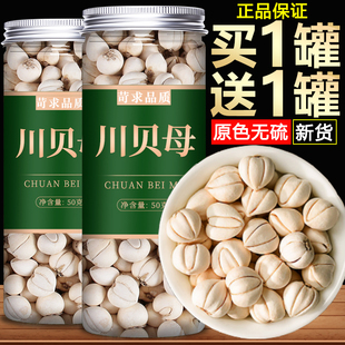 川贝母正品中药材官方旗舰店特级正宗四川野生川贝干止咳松贝粒粉