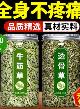 牛筋草和透骨草中药材正品旗舰店野生新鲜泡水喝泡脚的功效与作用