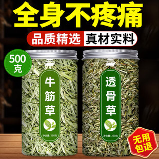 牛筋草和透骨草中药材正品旗舰店野生新鲜泡水喝泡脚的功效与作用