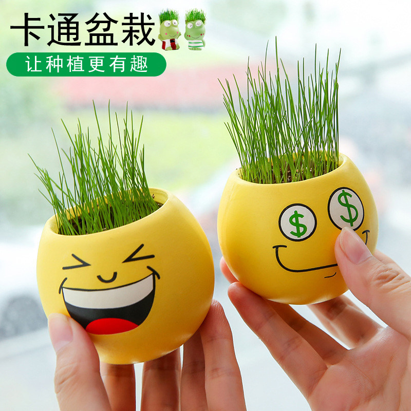 幼儿园卡通小盆栽青蛙笑脸迷你可爱微景观绿植摆件儿童懒人种植
