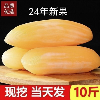 云南特产天山雪莲果红心超甜新鲜10斤一整箱包邮现挖脆甜当季水果