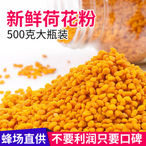 新鲜纯天然正品500g包邮荷花粉