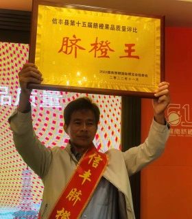 正宗江西赣南信丰脐橙5斤10斤20斤精品果新鲜应季水果产地直发