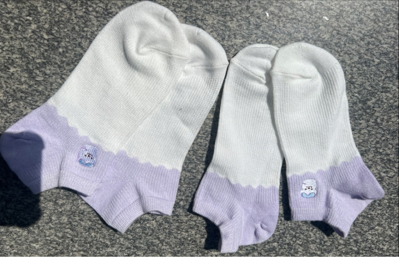 外单刺绣女款船袜35-38码 两双