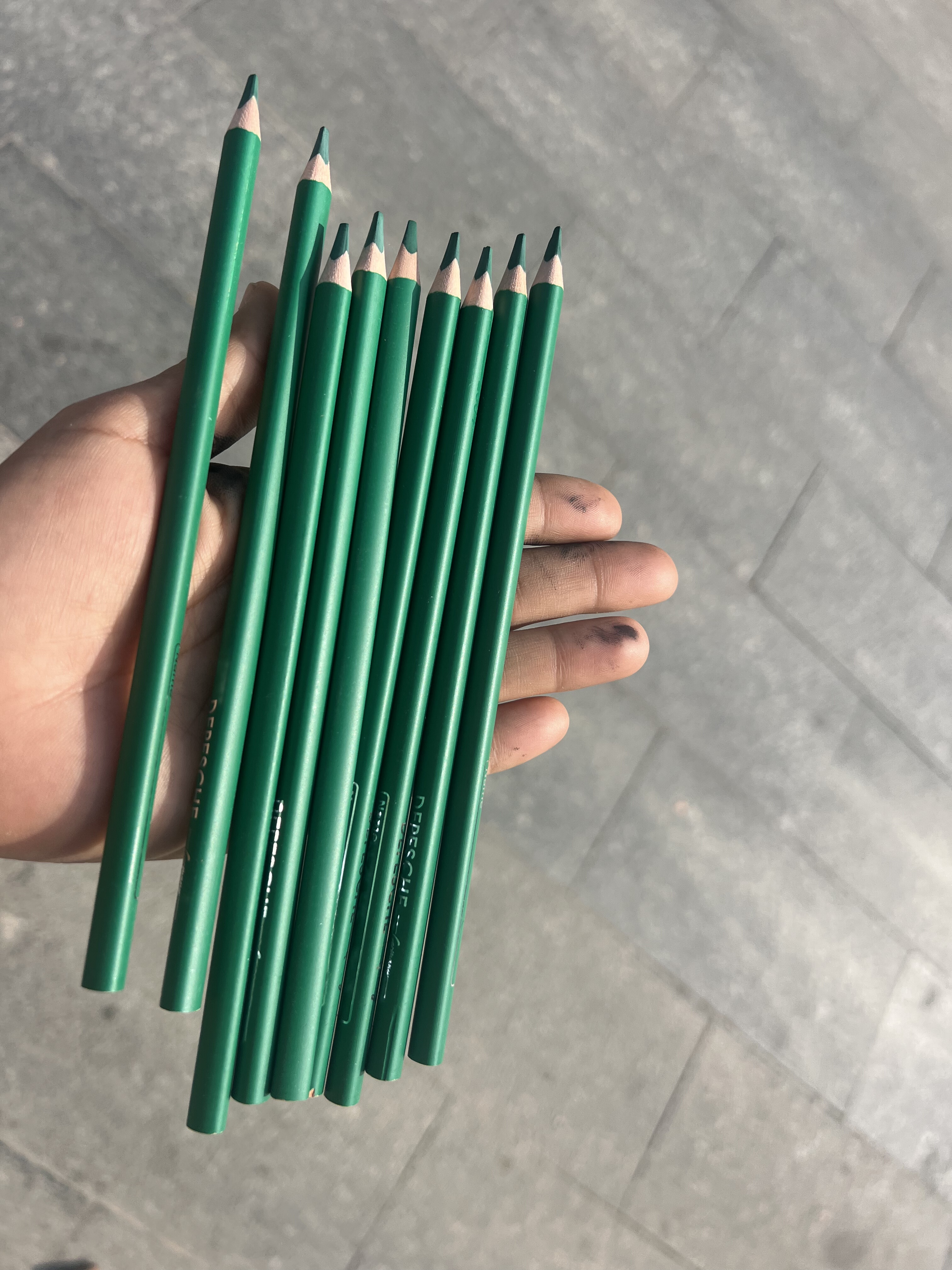 绿色彩色油性铅笔10支