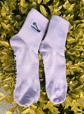 大码刺绣男袜40-44码 浅紫色 1双