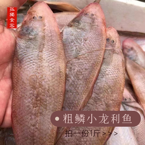 龙利鱼龙利鱼品牌官方旗舰店
