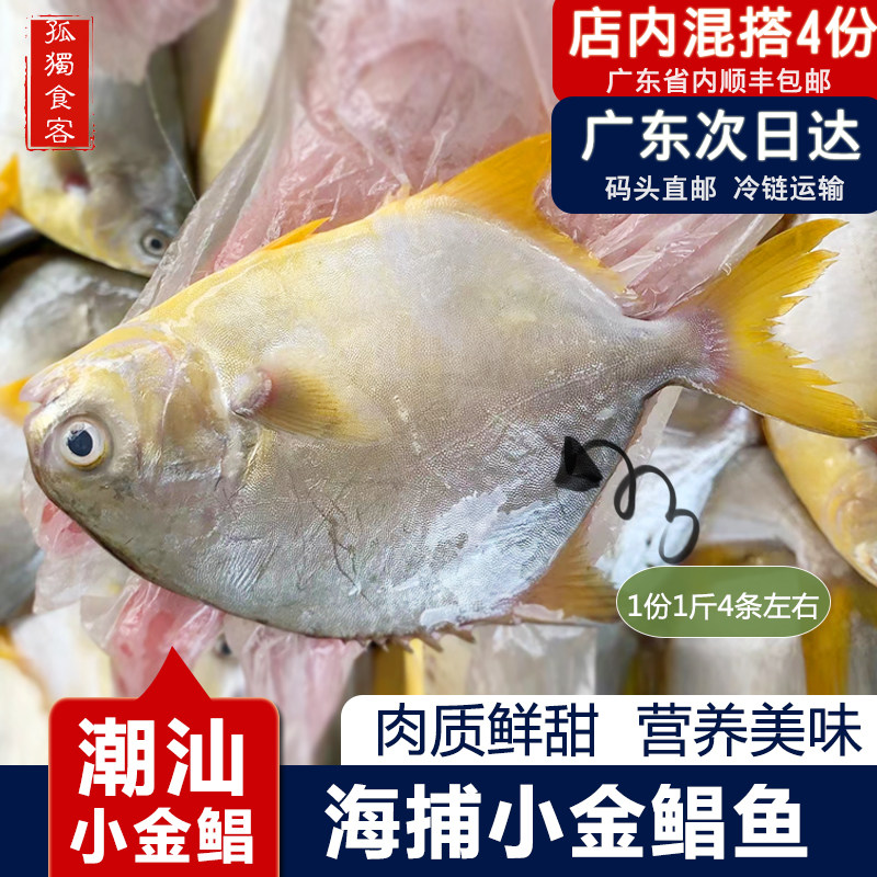 小金昌鱼海捕新鲜冷冻潮汕海鲜水产小金鲳鱼1斤3条左右