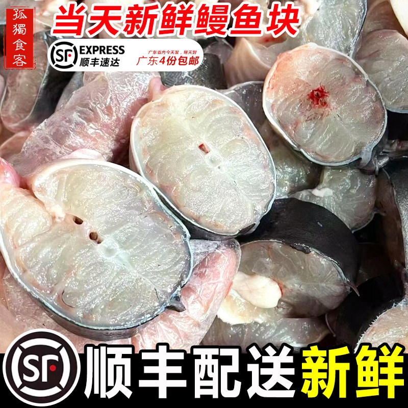 鳗鱼块新鲜当天海鳗鱼潮汕海鲜火锅食材河鳗乌耳鳗鱼白鳝鱼块1斤