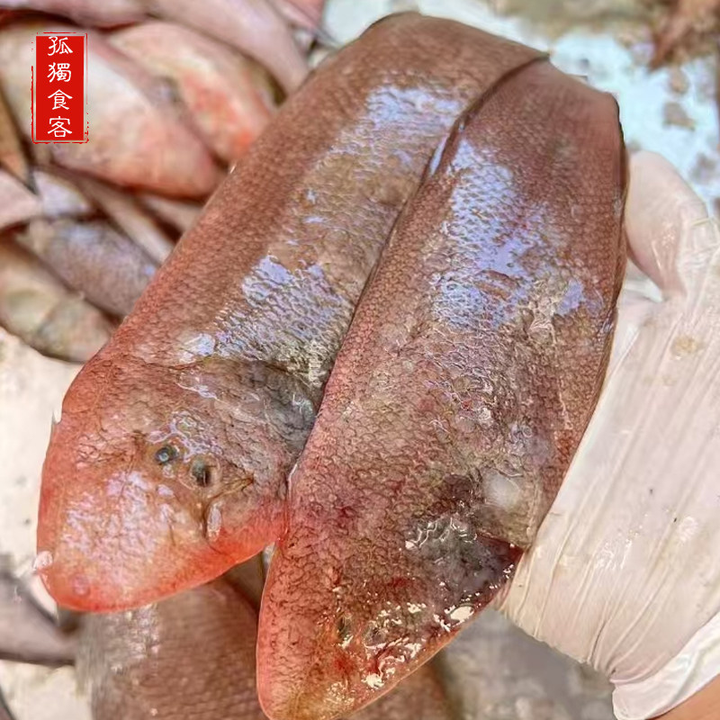 龙利鱼龙利鱼品牌官方旗舰店