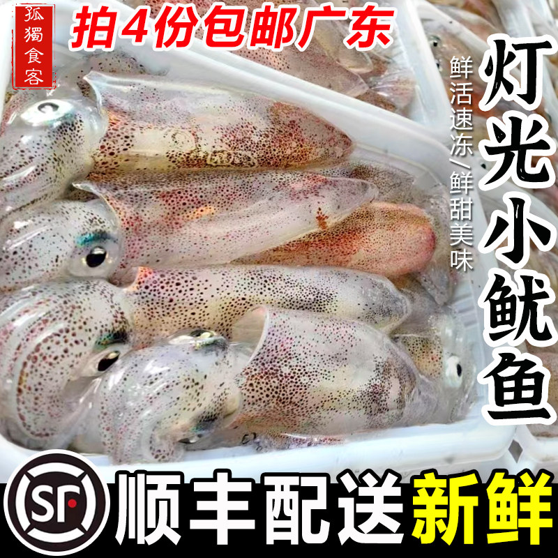 夜捕灯光一口小鱿鱼小海兔高品质白灼新鲜小笔管乌贼海鲜水产400g