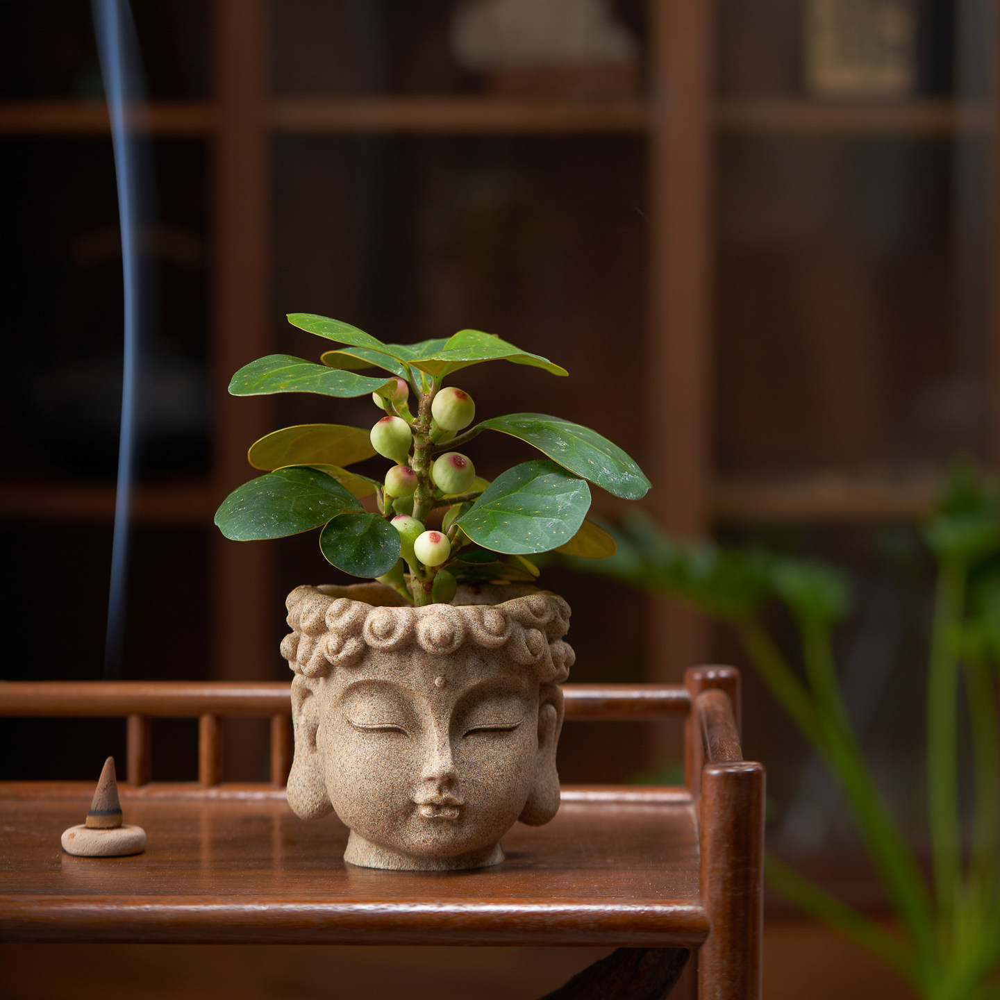 ��һ�����⡿��������-С������һ�����⣺����ɽ �����Ժ�  19.47Ԫ