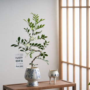 造型九里香盆栽夏季开花北欧办公室内绿植摆件花卉桌面植物盆景