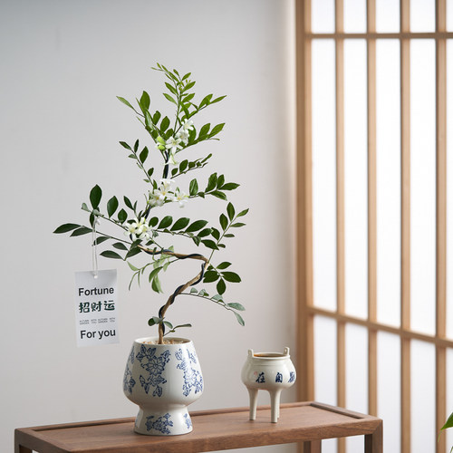 【中古禅意】造型九里香小盆景