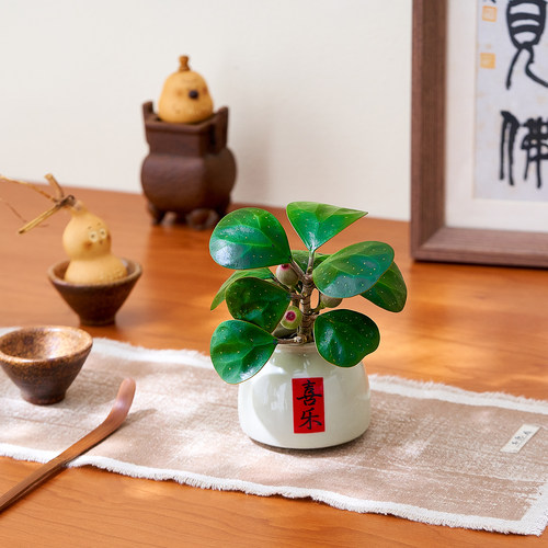 小叶菩提水培桌面绿植工位小盆栽