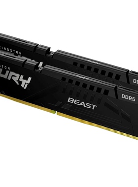 金士顿Kingston野兽 FURY Beast 128GB DDR5 RGB 5600 6000内存条