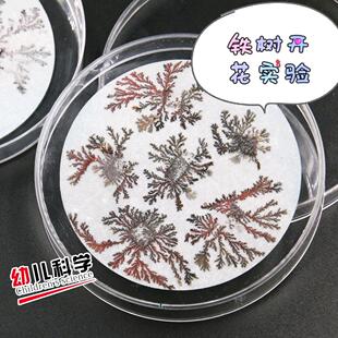 铁树开花铁片铝片科学实验套装中小学幼儿园科普教学手工制作玩具