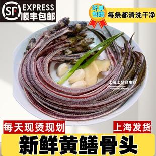 新鲜黄鳝骨头现烫新鲜鳝鱼骨头鳝鱼骨提升白细胞干食财煲汤骨头