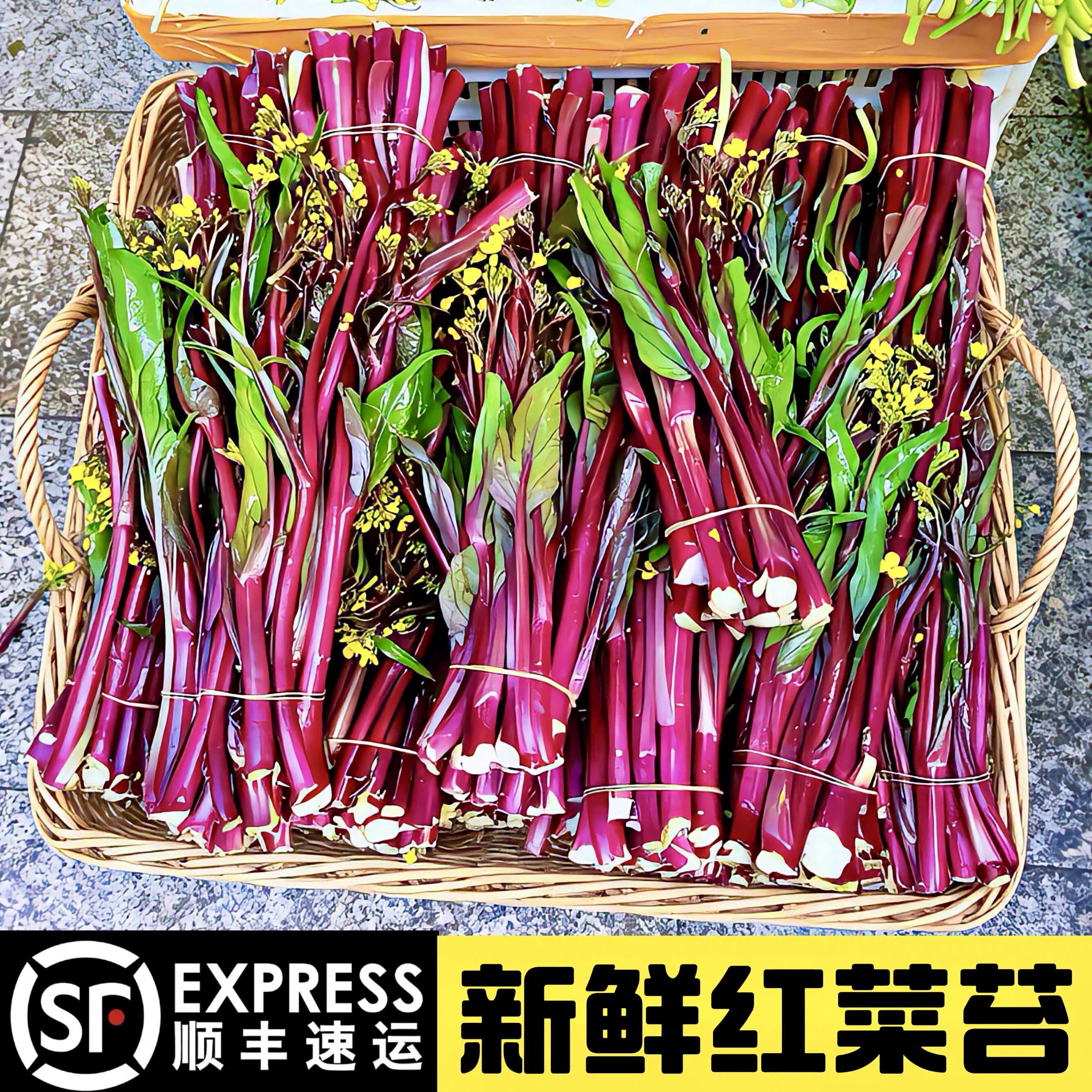 顺丰包邮2026新上市红菜苔