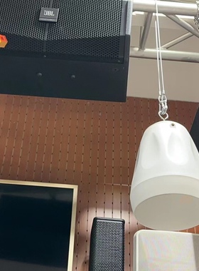 TADS吊球音响背景音乐吊装喇叭