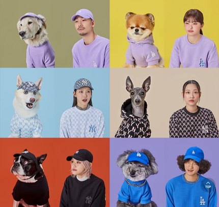 MLB潮牌宠物狗狗猫咪帽子棒球帽衣服包包饰品亲子卫衣套装时尚