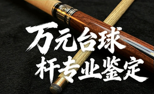 专业鉴定万元以上台球杆美洲豹美兹TON JP武藏野豹威利斯诺克球杆