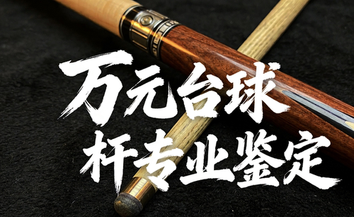 专业鉴定万元以上台球杆美洲豹美兹TON JP武藏野豹威利斯诺克球杆