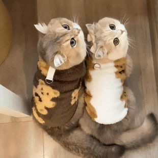 猫咪衣服秋冬绒绒可牵引小熊马甲宠物蓝猫英短布偶银渐层保暖防寒