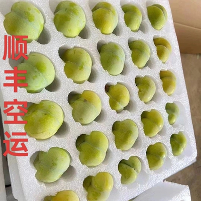 顺丰空运重庆脱骨李子青脆李应季新鲜水果青脆李甜脆李孕妇空心李