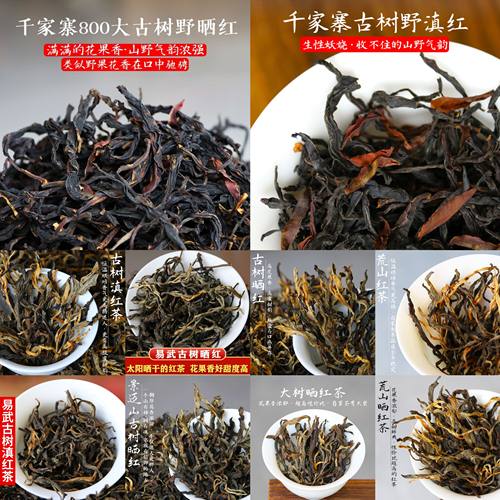 云南古树茶红茶千家寨易武古树滇红茶组合茶叶试喝装16克